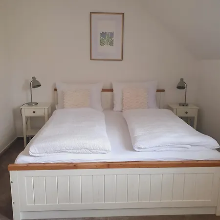 Penzion Apartmány Libošovice Libošovice