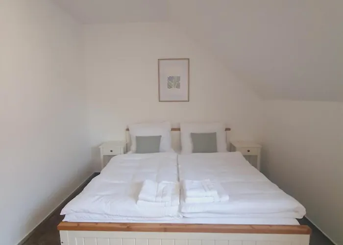 게스트하우스 Penzion Apartmany Libosovice Libošovice