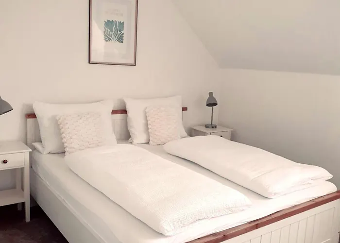 Penzion Apartmany Libosovice 게스트하우스 Libošovice